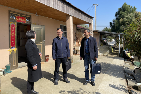 教育整顿 | 高淳法院走访省人大代表深入推进队伍教育整顿外部监督