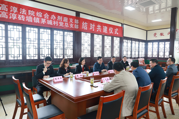 教育整顿 | 高淳法院与砖墙镇茅城村开展党建结对共建活动