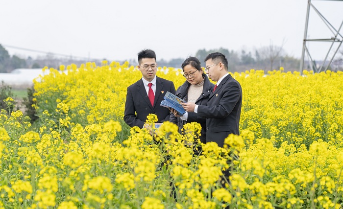 高淳法院：法治春风拂金花 司法护航到农家